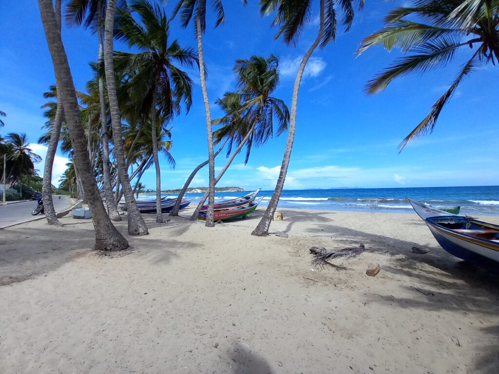 Caribe Exclusive Apartments